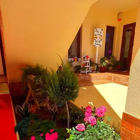 Casa Ole * 科斯蒂内什蒂